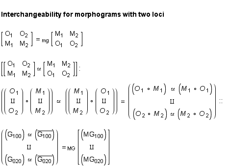 &nbsp;&nbsp; <br /> Interchangeability for morphograms with two loci <br /> <br /> [O          ... O    O                                1            2               1            2 